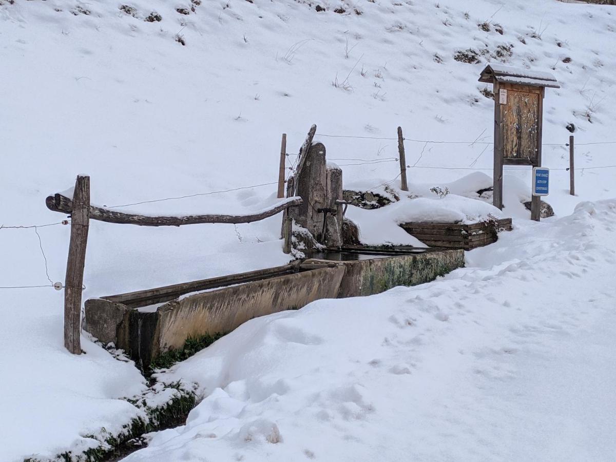Maison Familiale En Montagne Avec Vue Merveilleuse Sur Le Massif De Belledonne Saint-Bernard  Екстер'єр фото
