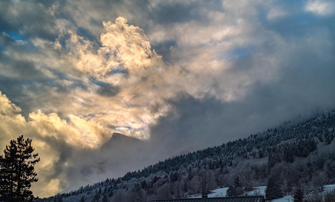 Maison Familiale En Montagne Avec Vue Merveilleuse Sur Le Massif De Belledonne Saint-Bernard  Екстер'єр фото